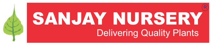 Sanjay Nursery advertisement